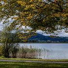 Kochelsee (1)