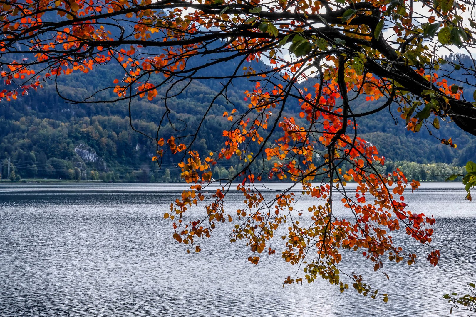 Kochelsee (4)