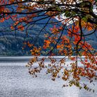 Kochelsee (4)