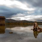 Kochelsee