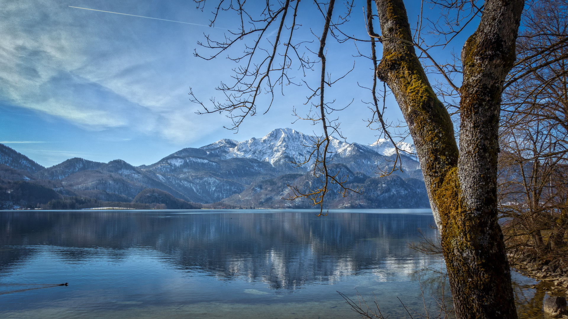 Kochelsee Anfang März