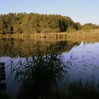 Kochelsee-Bayern