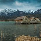 Kochelsee 