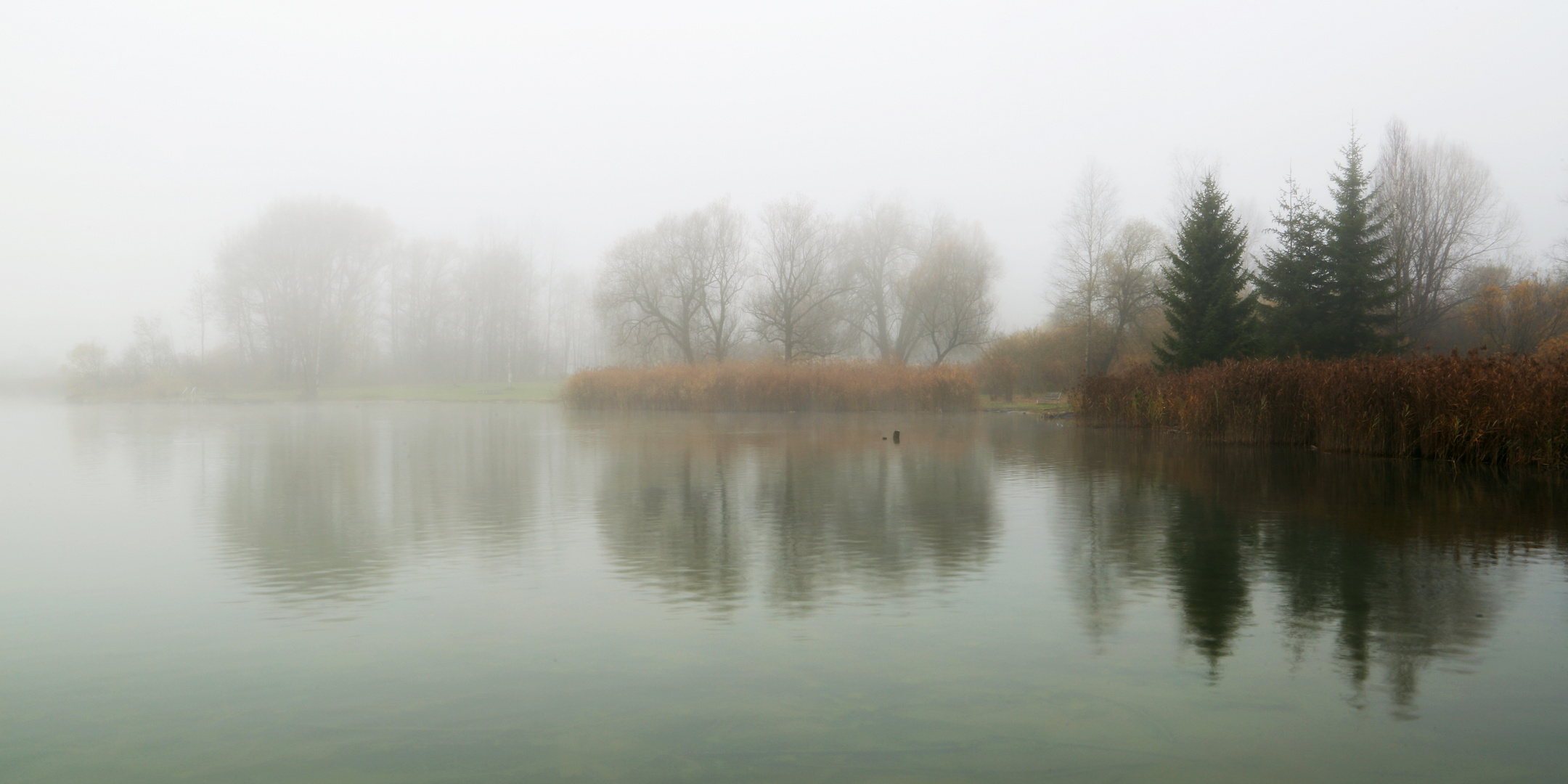 Kochelsee im Nebel 02