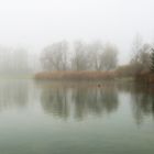 Kochelsee im Nebel 02