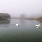 Kochelsee im Nebel 03