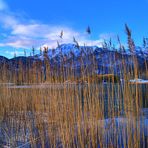 Kochelsee im Winter