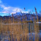 Kochelsee im Winter