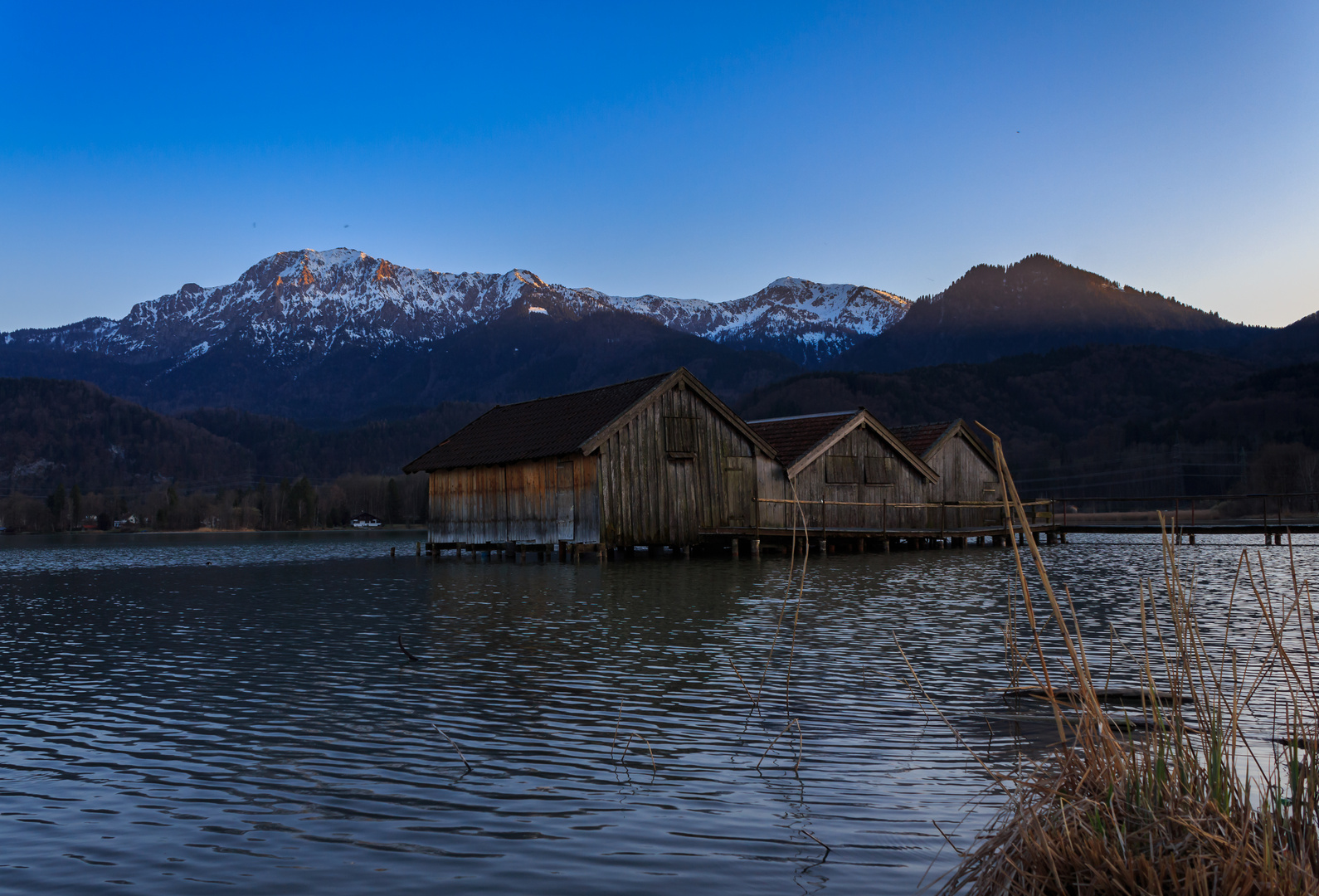 Kochelsee in der Abendsonne