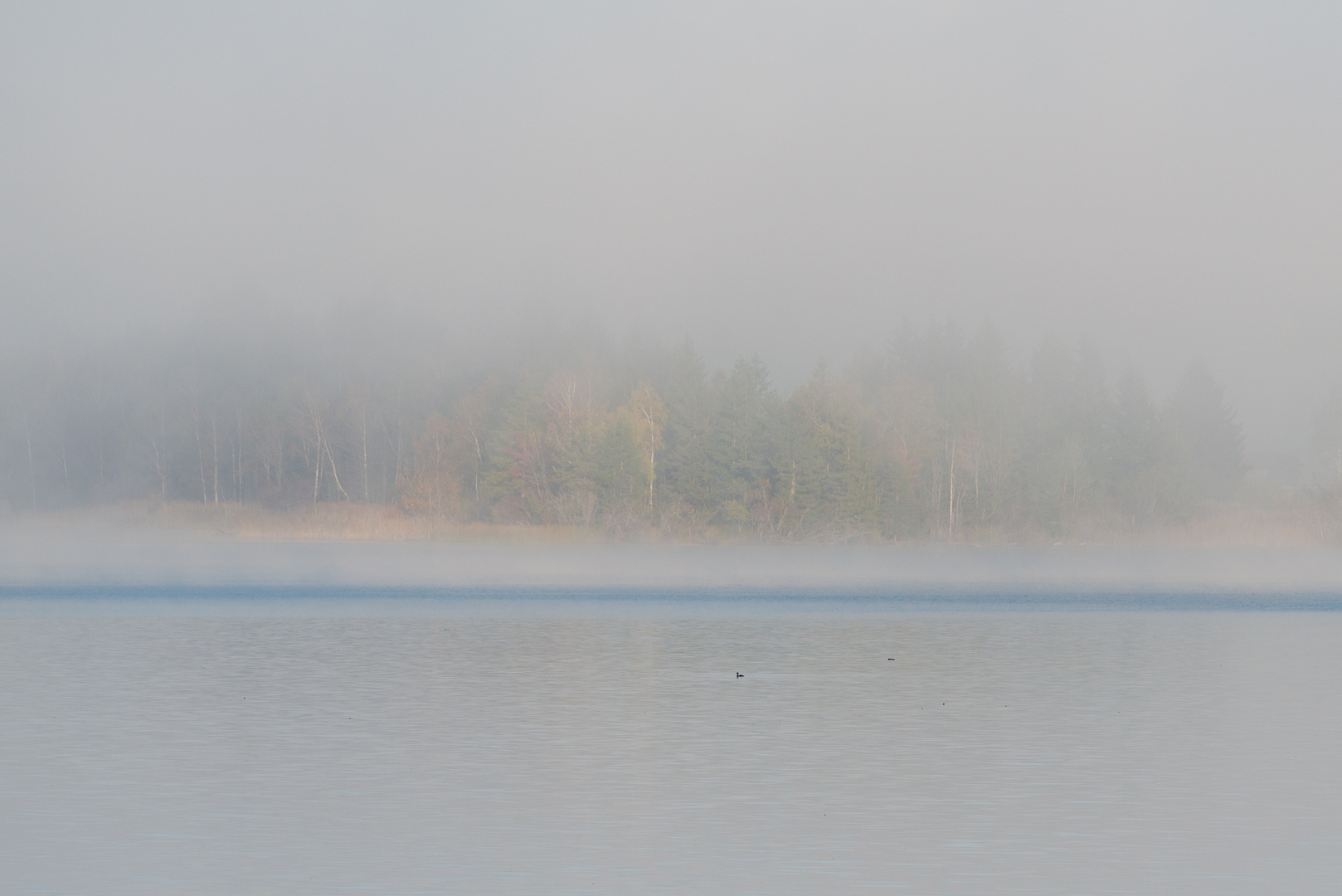 Kochelsee Nebel