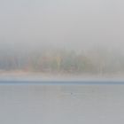 Kochelsee Nebel