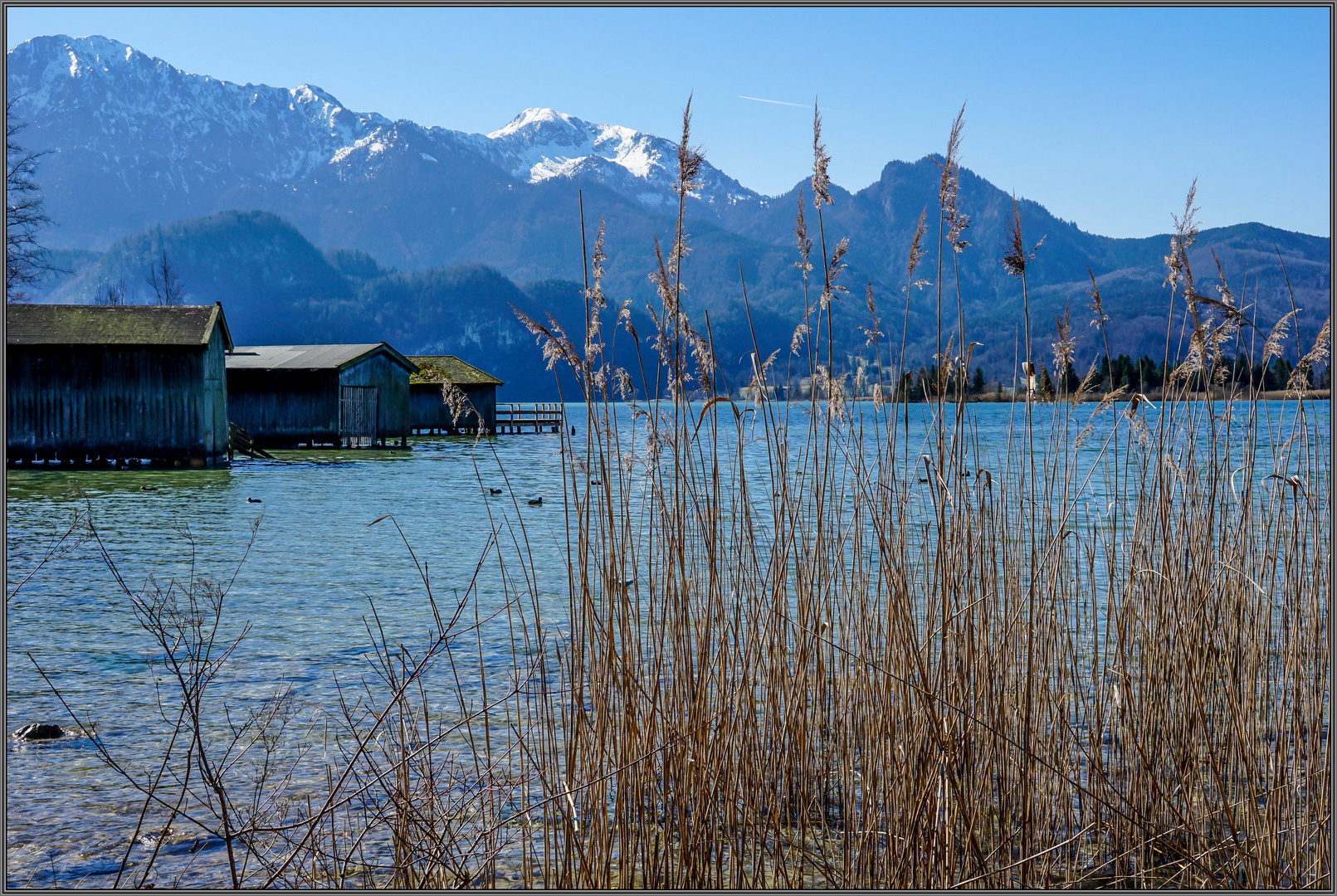 Kochelsee / Oberbayern