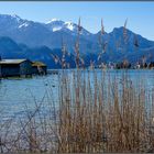 Kochelsee / Oberbayern