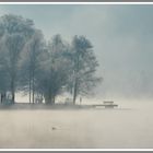 Kochelsee, Ruhebank im Nebel