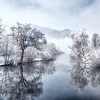 Kochelsee Winter