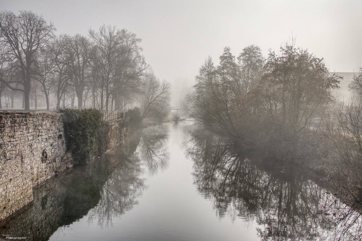 Kocher im Nebel