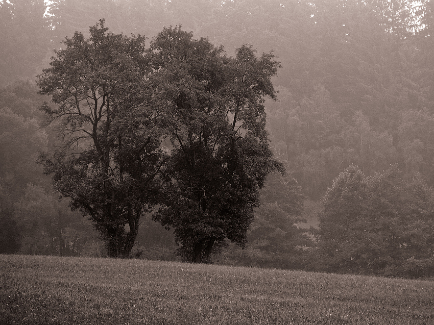 Kocher-Jagst-Trail / Nahe Neuhaus