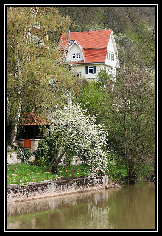 Kocheransichten