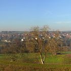 Kochertal bei Hardthausen