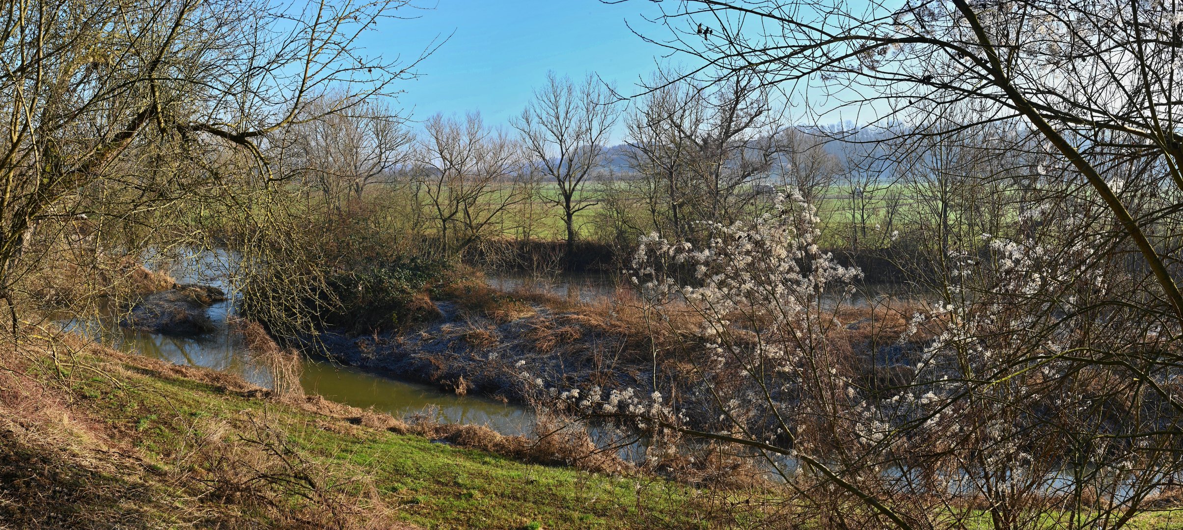 Kocherufer und Biotop