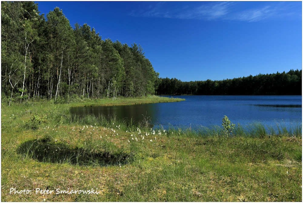 Kocioleksee