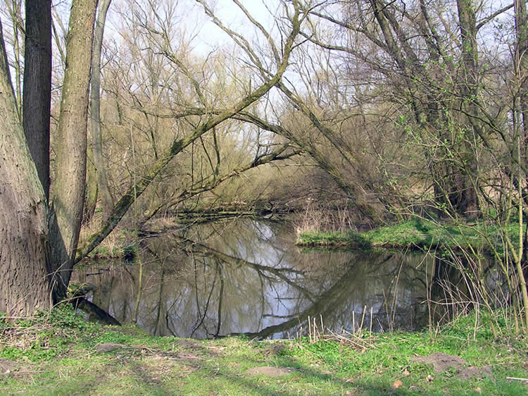 kocksloch - nsg - mülheim/ruhr