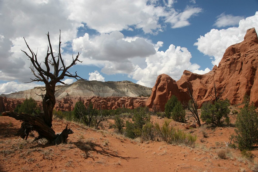 Kodachrome Basin