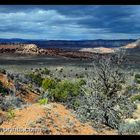 ..:: KODACHROME BASIN STATE PARK ::..