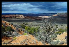 ..:: KODACHROME BASIN STATE PARK ::..