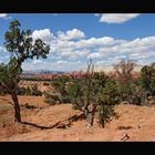 [ Kodachrome Basin State Park ]