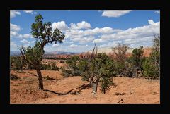 [ Kodachrome Basin State Park ]