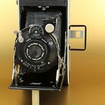 KODAK Vollenda 70/7 Nagel.