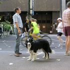 Kö-Lauf in Düsseldorf