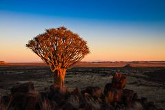 Namibia