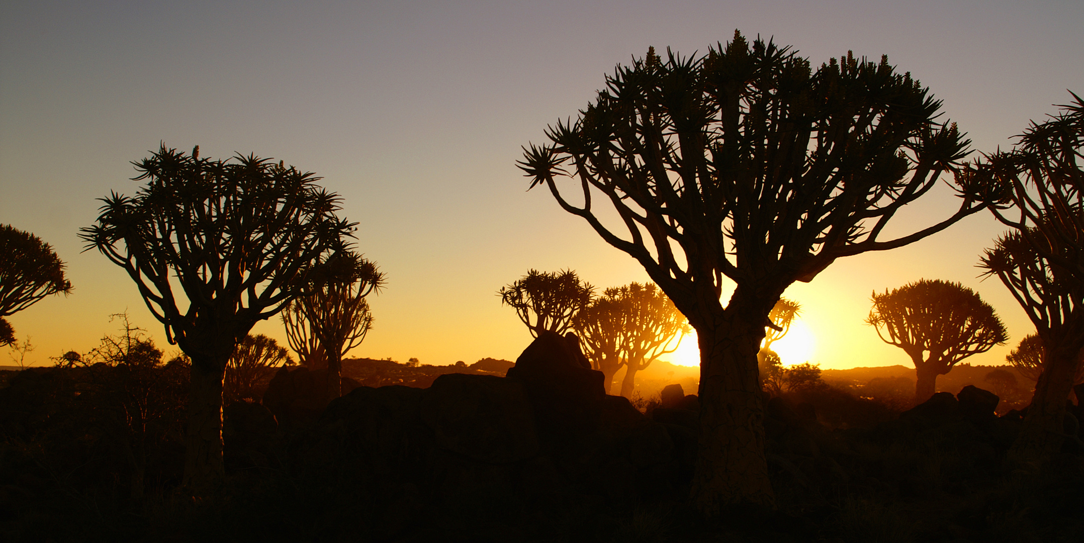 Köcherbaumwald Namibia