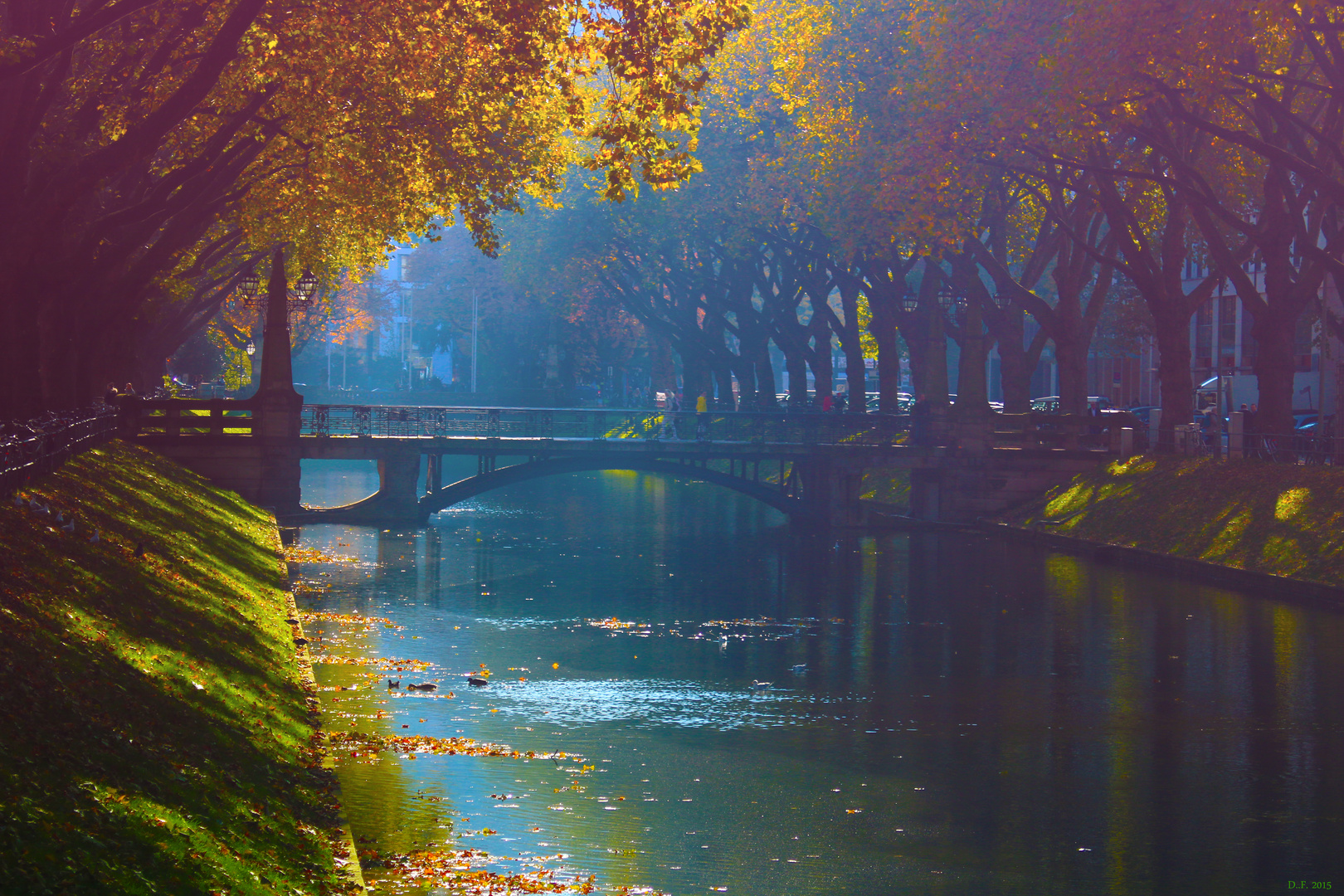 Koegraben Düsseldorf im Sonnenschein