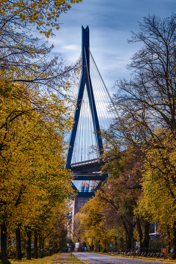 Köhlbrandbrücke im Herbst