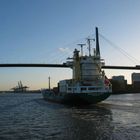 Köhlbrandbrücke mit Containerschiff