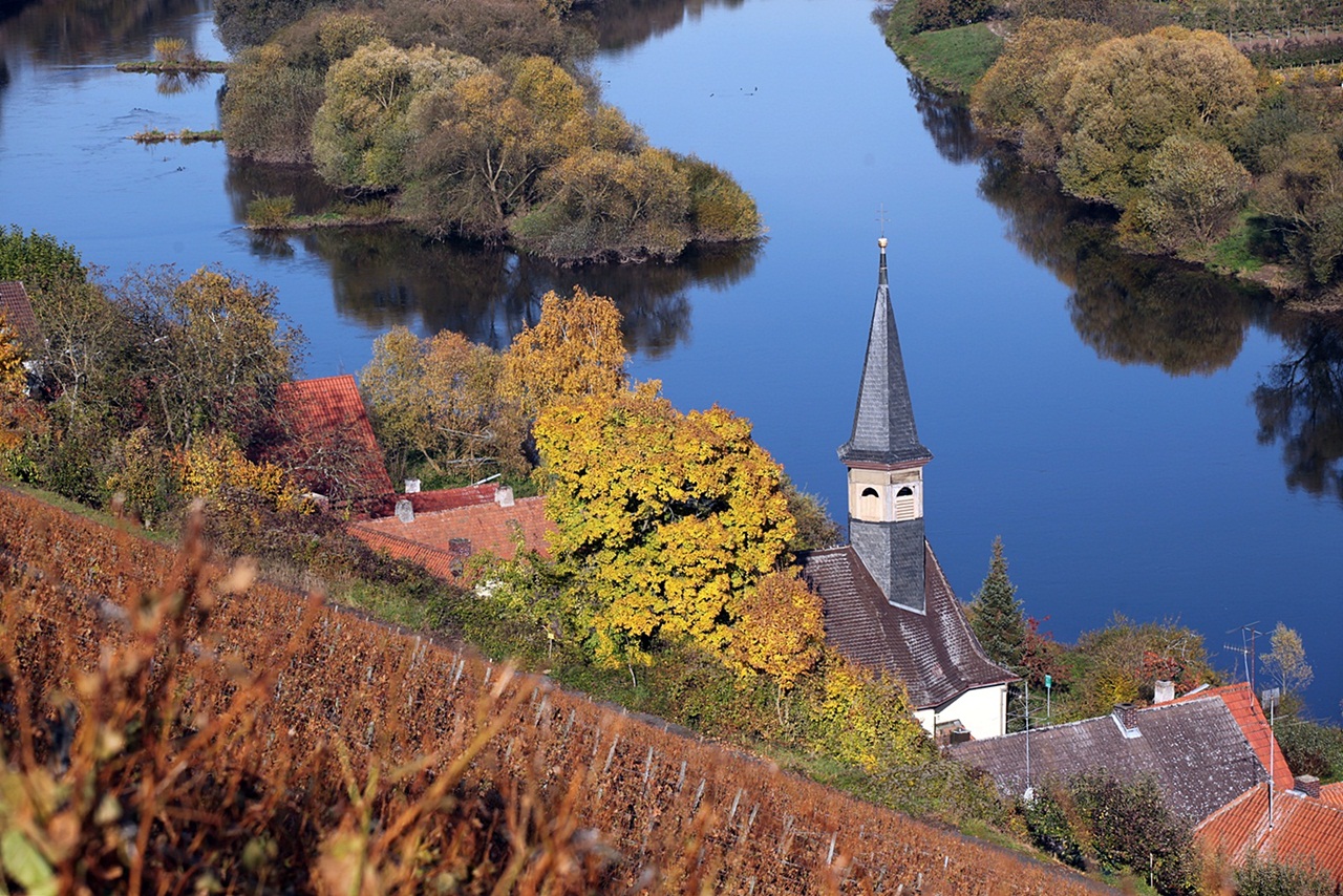 Köhler am Main