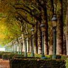 Koekelberg Park im Herbst