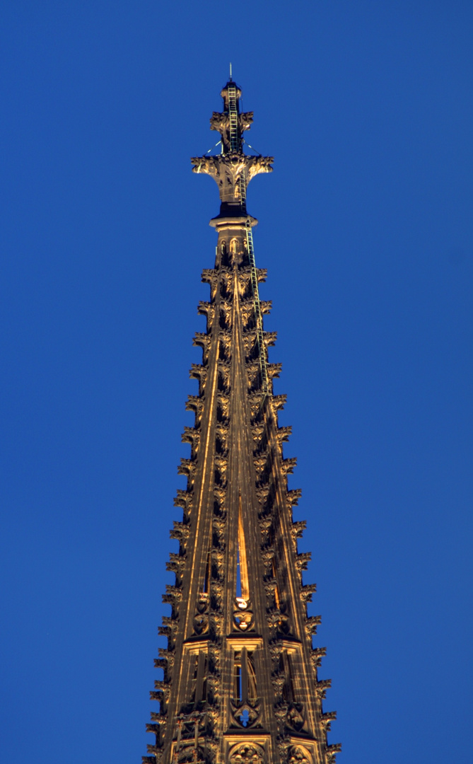 Kölle bei Nacht /01