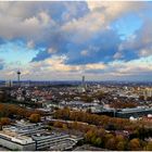 Kölle jeck im Sunnesching