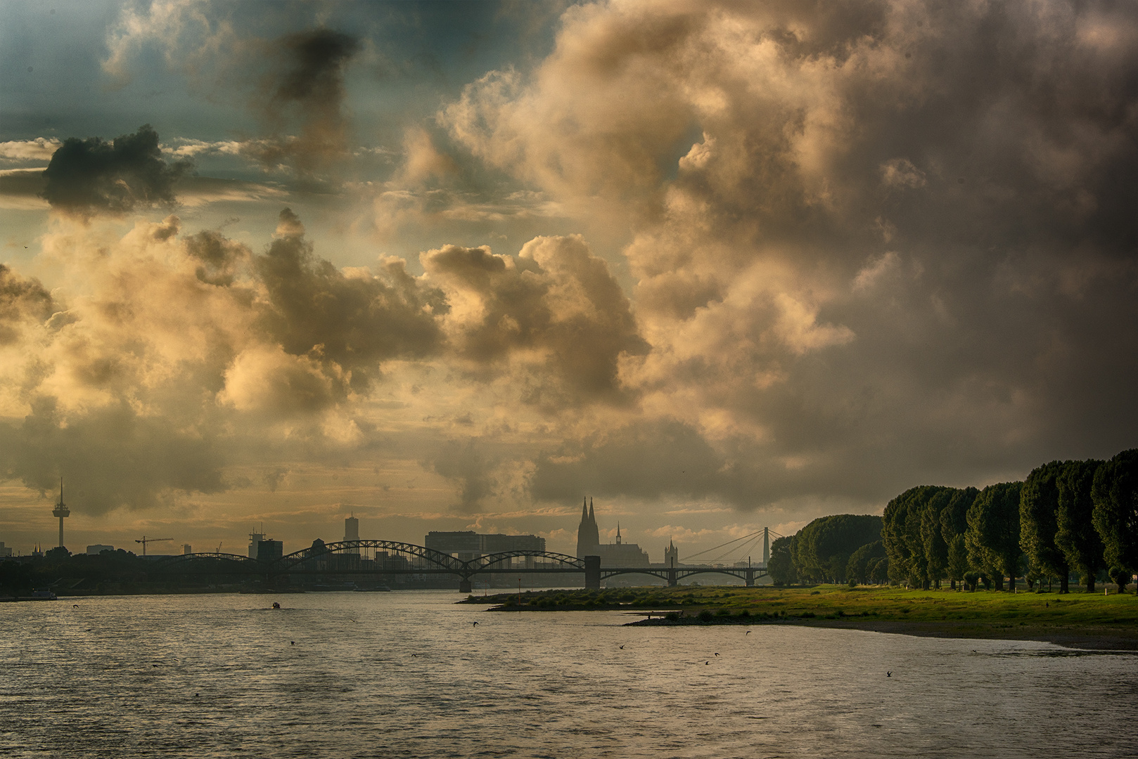 Köln 5 Köln 5