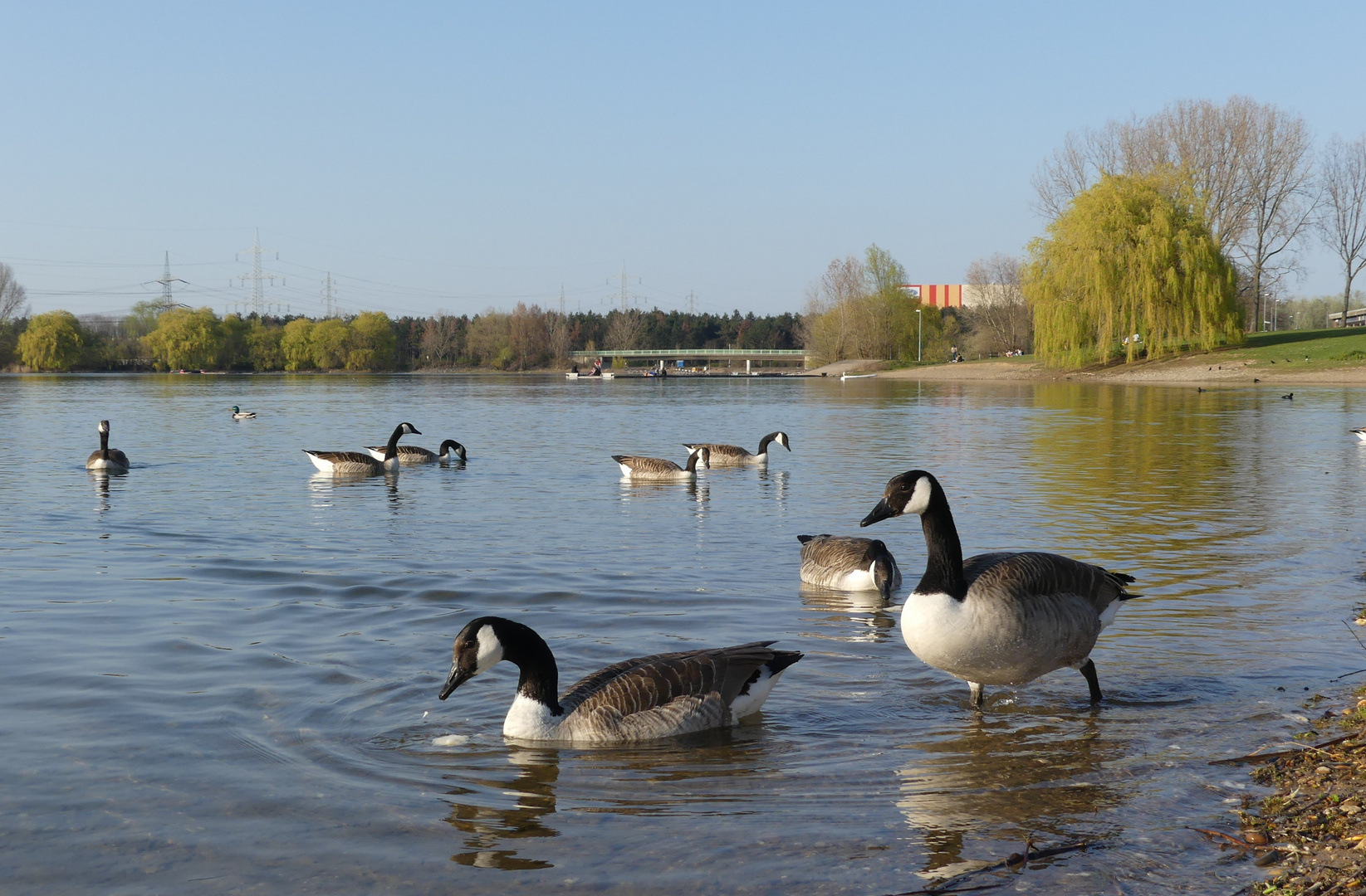 Köln - Am Fühlinger See