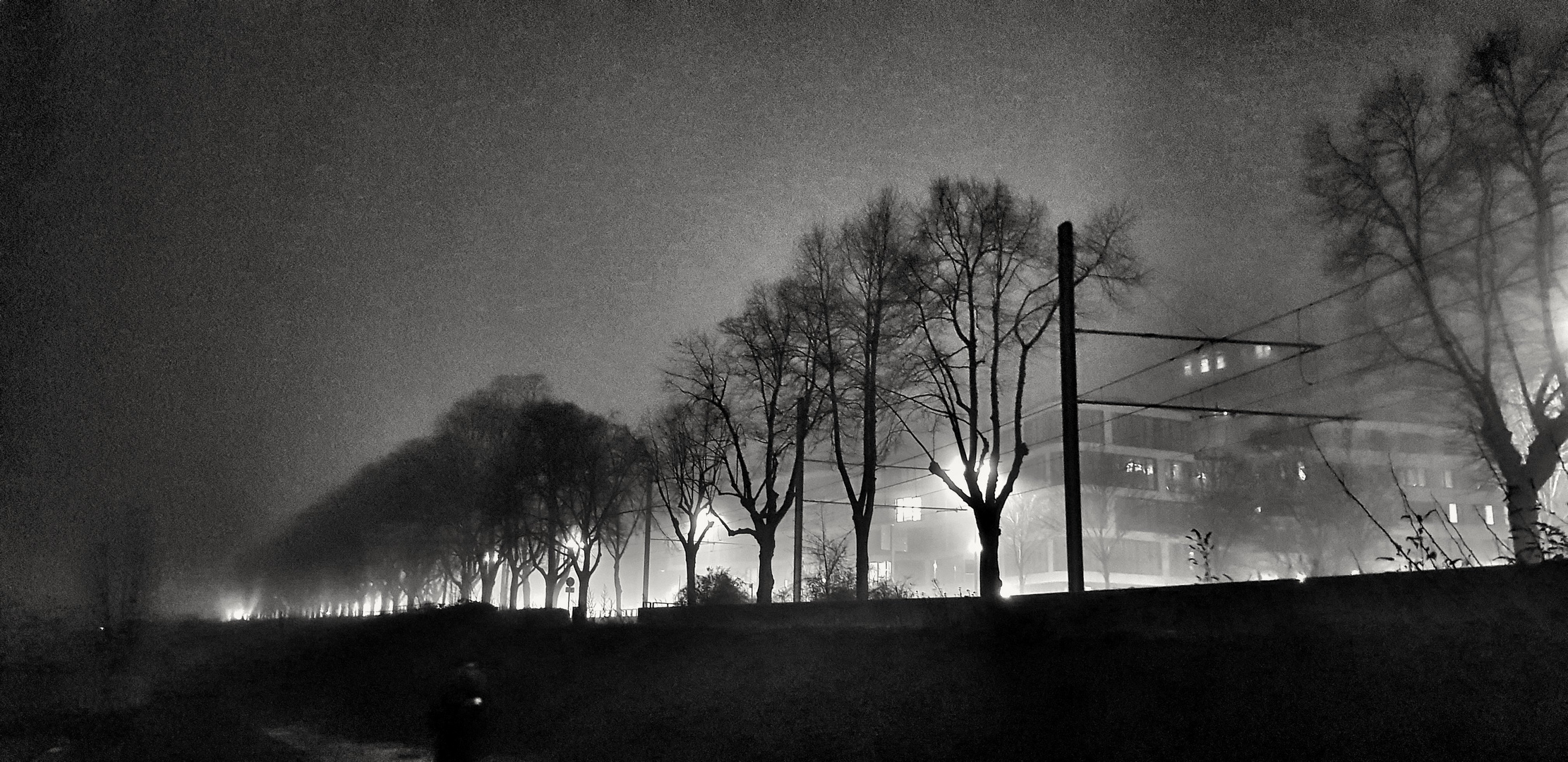 Köln, am Rheinufer, Blick auf die Rheinuferstraße