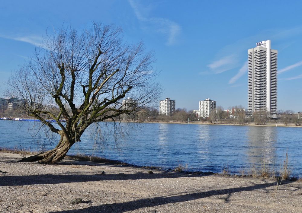 Köln - Blick über den Rhein