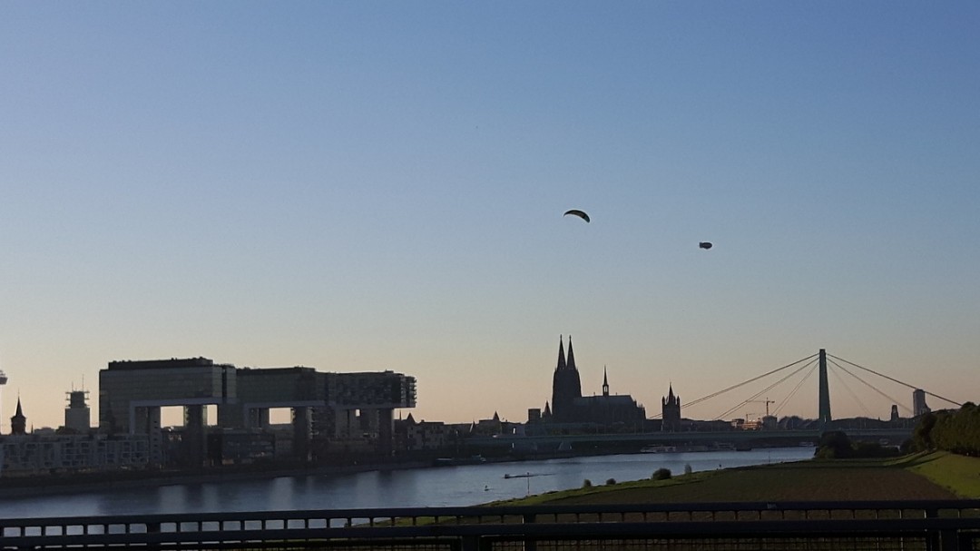 Köln, Blick von den Poller Wiesen auf Dom und die Altstadt mit den Kranhäuser 