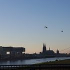 Köln, Blick von den Poller Wiesen auf Dom und die Altstadt mit den Kranhäuser 