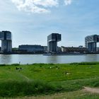 Köln - Blick von Köln Deutz auf die Kranhäuser