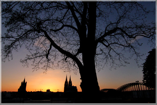 Köln - Dom & Hohenzollernbrücke